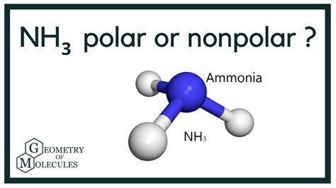 You'll get a detailed solution from a subject matter expert that helps you learn core concepts. Question: 1a. Is the ammonia molecule (NH3) polar or non-polar? Explain your answer based on the electronegativity of nitrogen and hydrogen atoms. 1b. Make a drawing to support your answer in 8a.